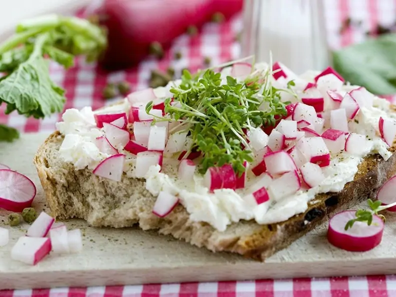 Brot mit Radieschen-Frischkäse und Kresse
