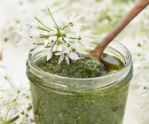 Pesto aus Bärlauch