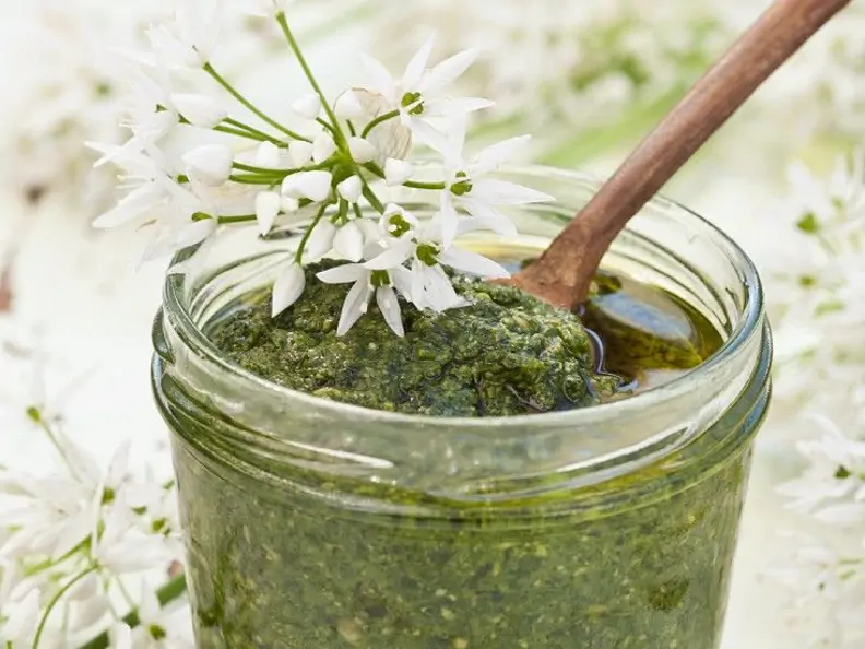 Pesto aus Bärlauch