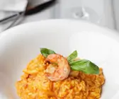 Risotto mit Tomaten und Garnelen