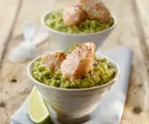 Mousse vom Lachs mit Avocadocreme