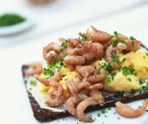Krabbenrührei und Pumpernickel