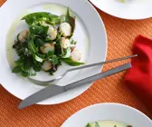 Kräutersalat mit Muscheln