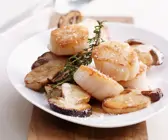 Jakobsmuscheln mit Steinpilzen