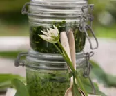 Bärlauchpesto mit Brennnessel und Sonnnenblumenkernen