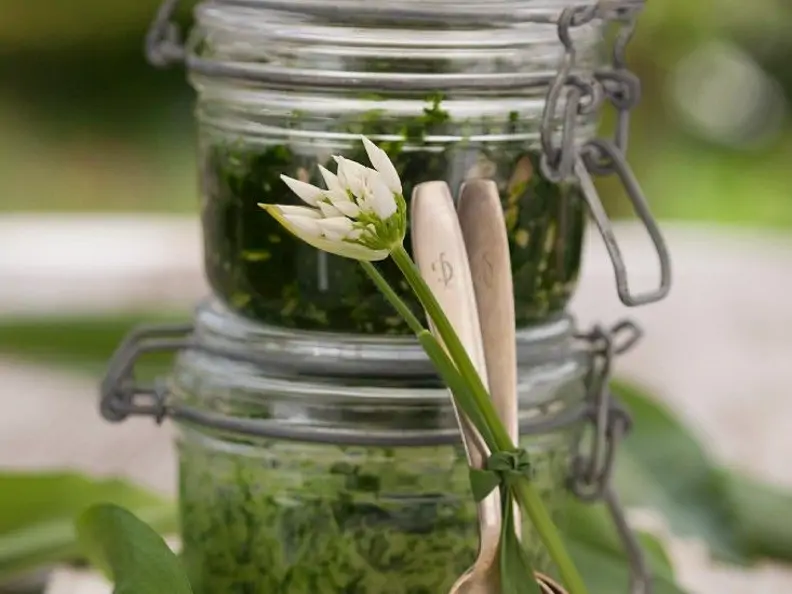 Bärlauchpesto mit Brennnessel und Sonnnenblumenkernen