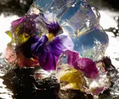 Blüten in Aspik