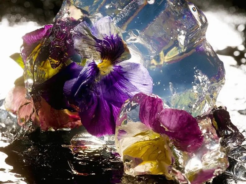 Blüten in Aspik