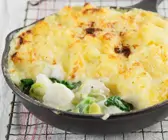 Fisch Auflauf