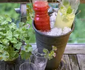 Alkoholfreie Erfrischungsgetränke
