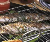 Heringe mit Thymian
