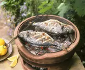 Dorade vom Grill mit Zitronen-Olivenöl-Sauce