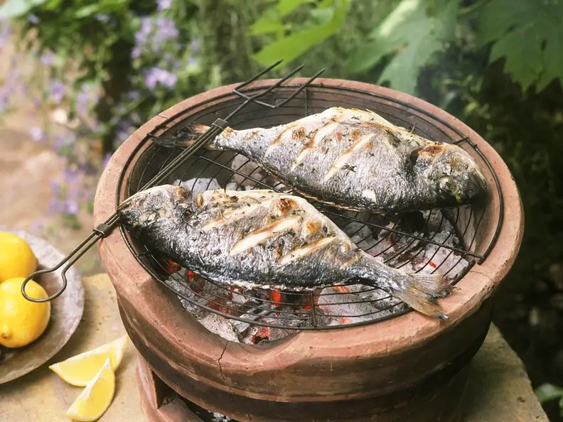 Dorade vom Grill mit Zitronen-Olivenöl-Sauce