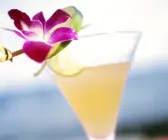 Daiquiri