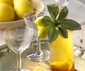 Limonenlikör