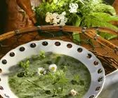 Kräutersuppe Frühlingsblümchen
