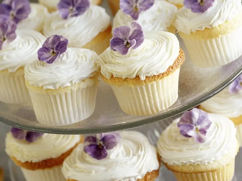 Veilchen-Cupcakes
