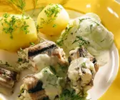 Aal mit Kräutersauce
