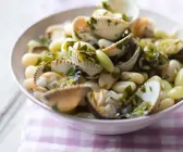 Bohnen-Muschelsalat