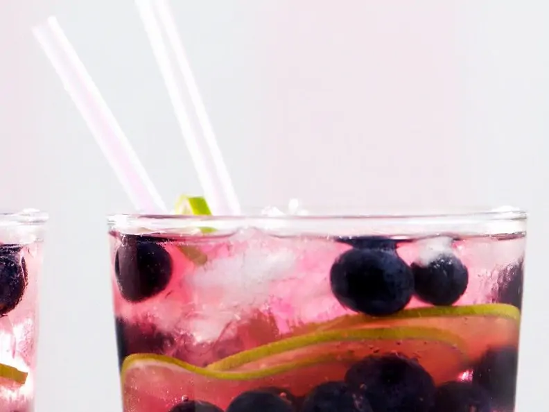Gin Tonic mit Früchten