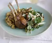 Lamm mit fruchtigem Fenchelsalat