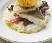 Risotto mit Loup de mer