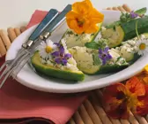 Zucchini gefüllt mit Ziegenfrischkäse