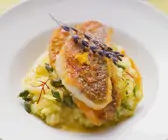 Risotto mit Fisch