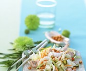 Vietnam-Salat mit Putenbrust