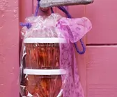 Preiselbeer-Konfitüre mit Aprikosen