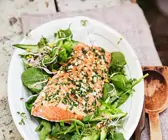 Salat mit Lachs