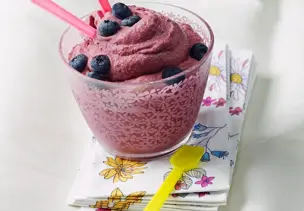 Frozen Blueberry Yogurt