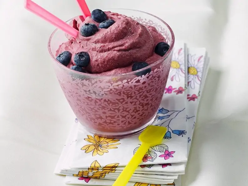 Frozen Blueberry Yogurt