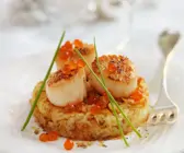 Kartoffeltaler mit gebratenen Jakobsmuscheln