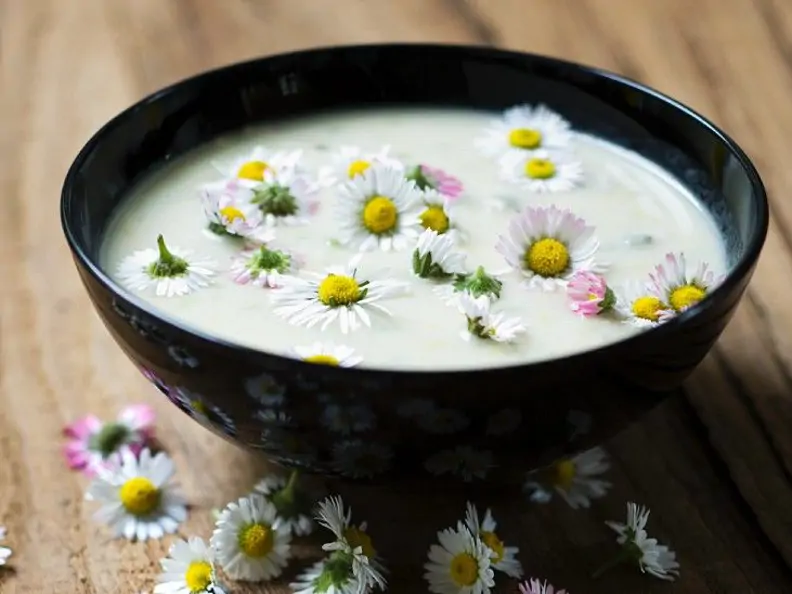Suppe mit Gänseblümchen