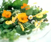 Kräuter-Blüten-Salat