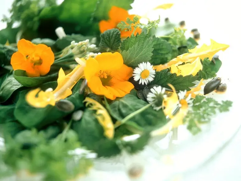 Kräuter-Blüten-Salat