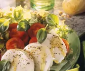 Blattsalat mit Tomaten und Mozzarella