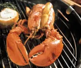 Gegrillter Hummer