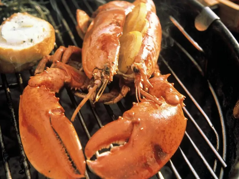 Gegrillter Hummer