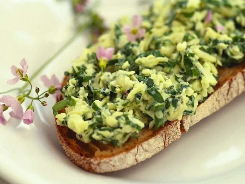 Kräuter-Käsebrot