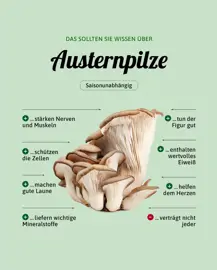 Austernpilze