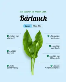 Bärlauch