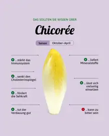 Chicorée