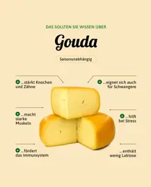 Gouda