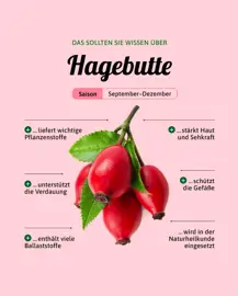 Hagebutte