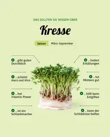 Kresse