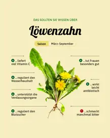 Löwenzahn