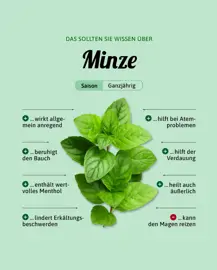 Minze