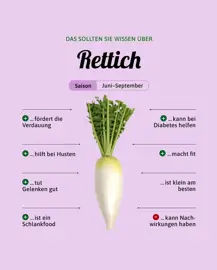 Rettich